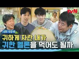 在 Tving 上观看：

 《房车横渡大海：北海道》
 ✔ [周日] 晚上7:40 播出

#tvN #HouseOnWheelsAcrossTheOcean