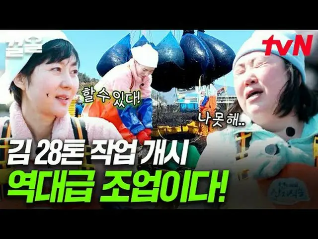 在 Tving 上观看： #tvN #Sister'sFoodDirectSend2 #PullUp tvN的传奇综艺节目越来越火爆了↗↗ #在Tving上观看