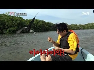 在 Tving 上观看：

 #KongKongPangPang #Lee、GwangSu_ #KimWooBin_ #DoKyungSoo
 Kong Kon