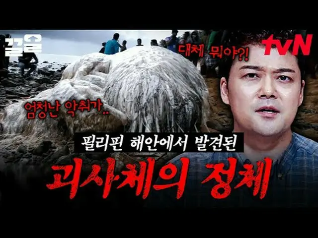 在 Tving 上观看： #tvN #释放韩19号 #拉起来tvN的传奇综艺节目越来越火爆了↗↗免费19 免费19前所未有的独家新闻排名🔍每周一晚9:50在t