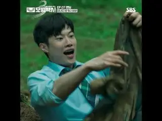 “在一个正义荡然无存的社会里，一个电话就足以解决问题。” 这是一部讲述神秘出租车公司“彩虹运输”和出租车司机金道基为遭受不公待遇的受害者伸张正义的私人复仇剧。
