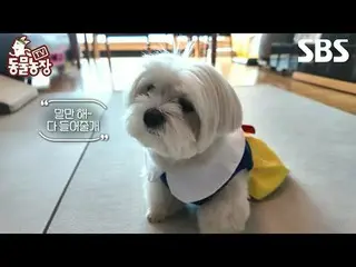 #申东烨 #Jeon SoNee（チョン・ソンヒ）_ #Tony An_ #Joy
 #SBSEducational #TVAnimalFarm #Animal