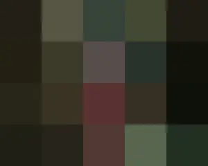 “在一个正义荡然无存的社会里，一个电话就足以解决问题。” 这是一部讲述神秘出租车公司“彩虹运输”和出租车司机金道基为遭受不公待遇的受害者伸张正义的私人复仇剧。
