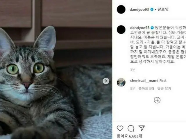 It has been reported in Korea about being used by actor Yoo Seung Ho andYouTuber. ● Veterinary colle