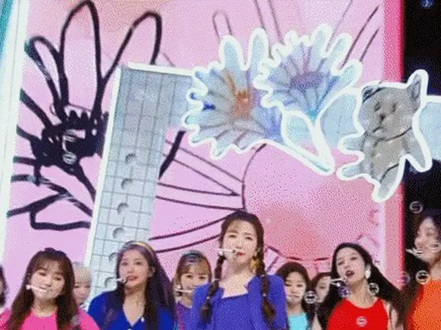 本田瞳，“减肥的结果”是韩国的热门话题