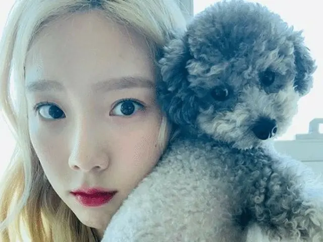 #泰妍（SNSD）的狗“零”商品，“比泰妍商品更受欢迎”是韩国的热门话题