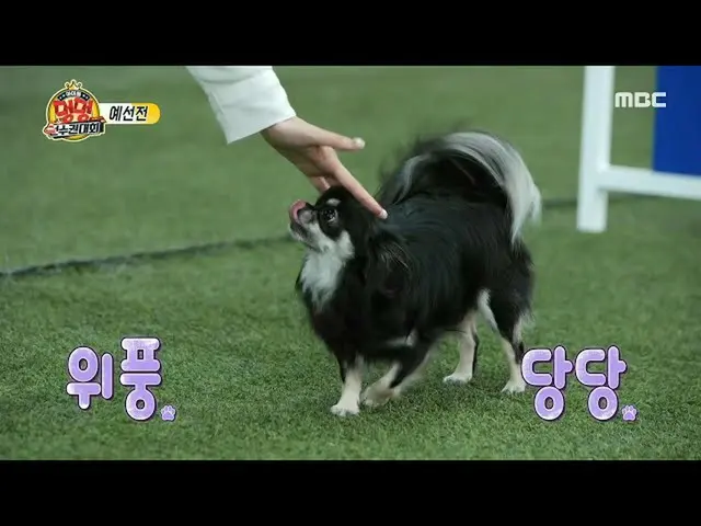 【公式mbe】【2020偶像犬冠军】LOVELYZ_ Jisoo，火箭与太空！与母亲完美呼吸...☆20201002  