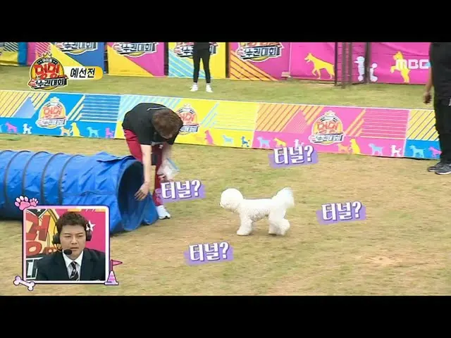 【公式mbe】【2020偶像犬冠军】【第2小组预选赛】金童子Jaehyun X Bongkoo！ Bonggu挑战的恶魔魅力〜20201002  