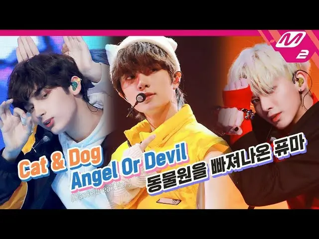 【公式mn2】TXT_ _（TXT _）-动物园的猫狗+天使或魔鬼+美洲狮| TOMORROW X一起回归  