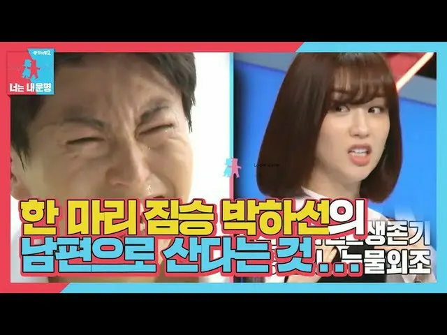 [官方sbe]“最高的咆哮声” Park HaSun_，Ryu Su Young_兽的原始角色pulled然泪下ㅣ同一层不同的梦2-你是我的命运(同生2）ㅣSB