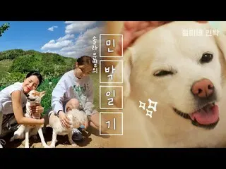 【t官方】MAMAMOO、[#Solar #Moonbyul] (ENG)Ep.2 剩下的永基，长谷， Jeolmi.. 奇怪的电流流动？ ㅣ当他们的母亲躲起来