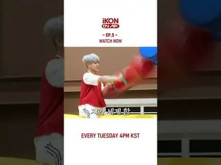 [官方] iKON，[iKON ON AIR] EP.5 立即观看  