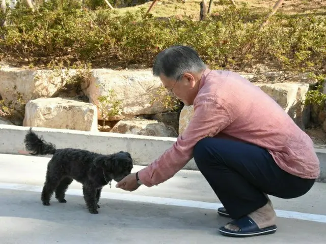 前总统文在寅在任期结束一周后，将发布每日照片