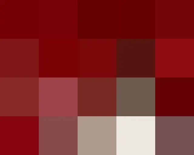 杰西卡发布中国选秀节目官方资料照片