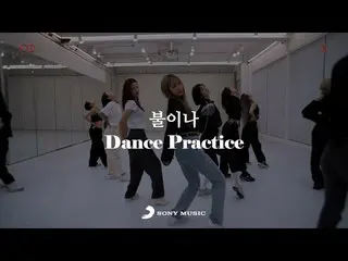 [官方] EXID, EXID – '불이나' 舞蹈表演视频  