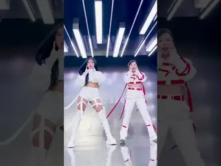 【官方】MAMAMOO、[Wheein] [Hwasa] 看着对方就笑  