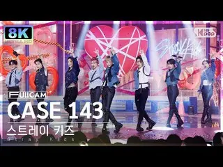 【官方 sb1】[SUPER ULTRA 8K] Stray Kids 'CASE 143' FullCam (Stray Kids_ _ FullCam) S