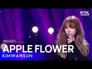 【公式sb1】KIMWANSUN(김완선) - 사성꽃(APPLE FLOWER) BOOK_ book 20221106  