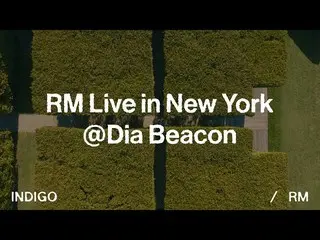[官方] 防弹少年团、RM 纽约直播@DIA Beacon  