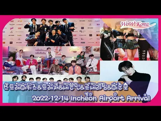在“2022 年日本亚洲艺术家大奖”之后，K-POP 偶像返回韩国