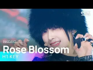 【公式 sb1】H1-KEY_ _ (H1-KEY_ ) - Rose Blossom（在建筑物之间盛开的玫瑰）INKIGAYO_ inkigayo 20230