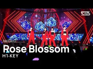 【公式 sb1】H1-KEY_ _ (H1-KEY_ ) - Rose Blossom INKIGAYO_ inkigayo 20230212  