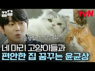 【官方tvn】猫管家之家重生为非常喜欢猫的管家Yun KyunSang_的梦想空间！之前和之后真的很棒......😲 |快速清理  