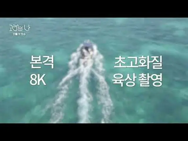 SBS特别节目《鲸鱼和我》 ☞ 11月首播#SBS 特别#WhalesandI #韩志敏_ #Paerk Hae Soo_ #Whales ▶ 立即订阅_！现在