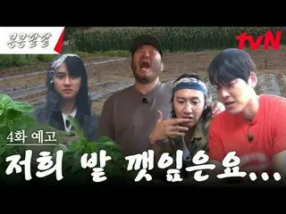 在电视上直播： #KongBean 红豆 #GBRB #Lee、GwangSu_ #Kim WooBin_ #都暻秀 #Kim Ki-bang #tvN我种豆子