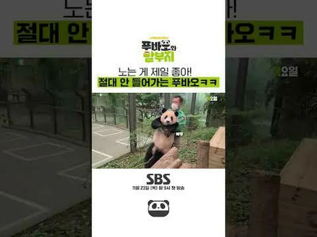 SBS《福保与分期》 ☞ 11月23日[周四]晚上9点首播#福宝和分期付款计划#福宝#康宝#姜哲元▶ 立即订阅_！现在SBS_！ ▶ 主页： ▶脸书： ▶ In