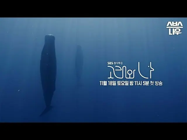 SBS特别节目《鲸鱼和我》 ☞ 11月18日[周六]晚上11点05分首播#SBS 特别#WhalesandI #韩智敏_ #Paerk Hae Soo_ #Wh