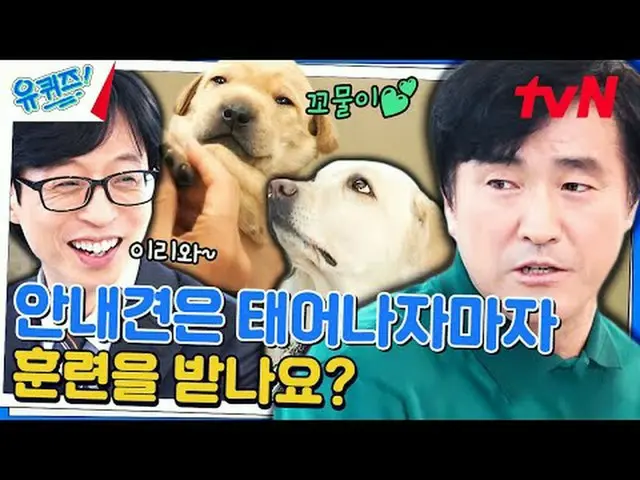 在电视上直播： #YouQuiz #Yu Jae Suk_ #Jo Se-ho你在街区测验 EP.231 #人生就是走走走走走走走走走走走走走走走走走走走走走走