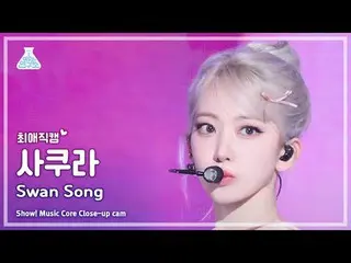 [#ChoiAeJikCam] LE SSERAFIM_ _ SAKURA (LE SSERAFIM_ Sakura) - 绝唱 |展示！音乐核心| MBC24