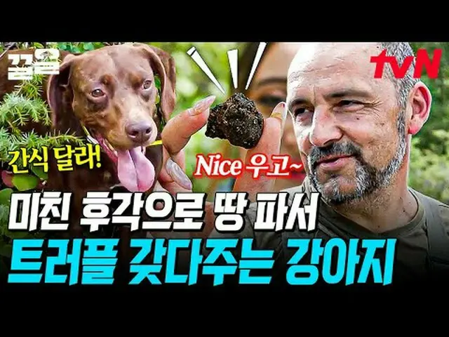 在电视上直播： #tvN #Local Briefing 我们的国家现在#Clean提起tvN的传奇娱乐节目↗↗ #在电视上直播  