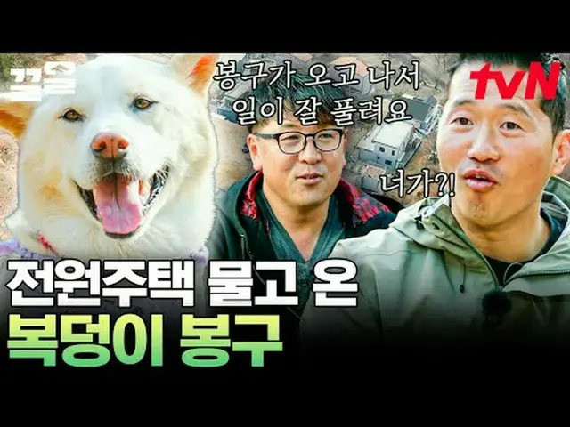 在电视上直播： #tvN #孤独训练师#Kleol提起tvN的传奇娱乐节目↗↗ #在电视上直播  