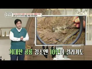 在 TVING 上直播：

第151话地球上最强大的统治者，通过化石揭示恐龙的秘密

〈裸体世界史〉
 【周二】tvN 晚上10点10分播出

#裸体世界历史#
