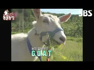 #申东烨 #Jeon SoNee（チョン・ソンヒ）_ #Tony An_ #Joy #Goat
 #TV 动物农场 #AnimalFarm #Preview

