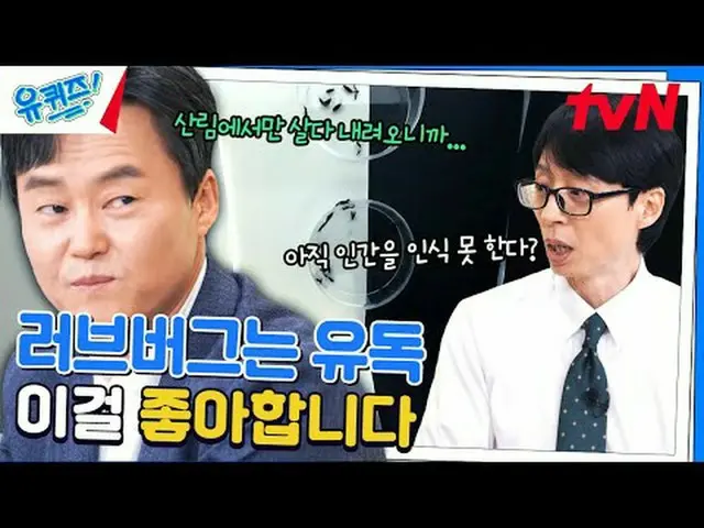 在电视上直播： #YouQuiz #Yu Jae Suk_ #Jo Se-ho你在街区测验 EP.251 #韩国在震动tvN每周三晚8点45分播出#在电视上直播