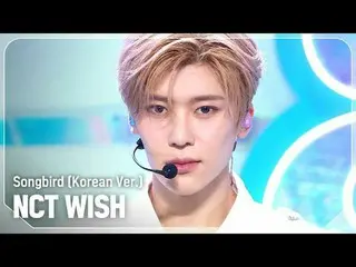 NCT_ _ WISH_ (NCT_ _ WISH_ _ ) - Songbird (韩文版) #쇼챔피언 #NCT_ _ WISH #Songbird ★关于