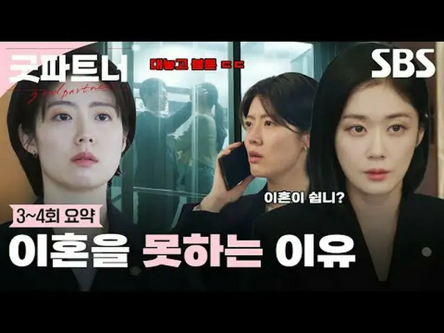 一部冷热的人间法律办公室剧，讲述以离婚为“职业”的明星律师车恩京和以离婚为“第一次”的新人律师韩宥利的故事