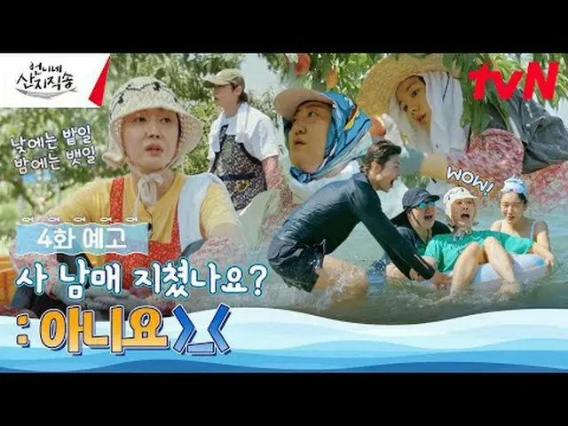 在 TVING 上直播：从大海到餐桌{源头直送姐姐} ✔ [星期四] 晚上 8:40 #从姐姐那里直接发货#廉正雅_ #安恩珍_ #朴俊勉_ #Dex #tvN