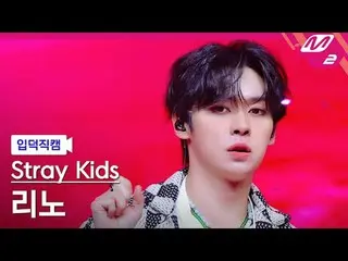 [家庭摄像头] Stray Kids Reno - Jjam
 [Meltin' FanCam] Stray Kids_ _ LEE KNOW_ _ - JJA