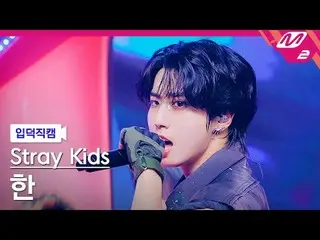 [白痴凸轮] Stray Kids Han - Jjam
 [Meltin' FanCam] Stray Kids_ _ HAN_ - JJAM
 @MCOUN