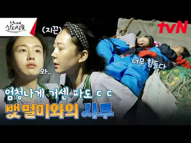 在电视上直播： #制作人直送姐姐#制作人直送#廉正雅_ #朴俊勉_ #安恩珍_ #Dex姐姐的直送EP.5渔村四兄妹的日常生活！各种各样的海边工作和只有那里才能