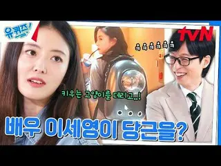 在电视上直播：

 #YouQuiz #Yu Jae Suk_ #Jo Se-ho
你在街区测验 EP.262
 #我创造我自己
tvN每周三晚8点45分播出
