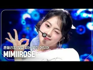 mimiirose_ (mimiirose_ ) - 不被摇动而绽放的花朵在哪里？

 #ShowChampion #mimiirose_ #不被摇动绽放的花朵