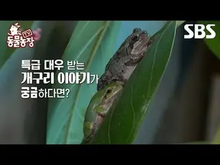 #申东烨 #Jeon SoNee（チョン・ソンヒ）_ #Tony An_ #Joy #Frog #Geumsuni #Geumbok
 #TV 动物农场 #An