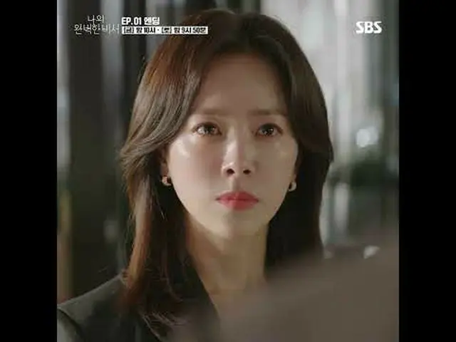 只擅长本职工作的猎头公司CEO智润和同样擅长本职工作的完美秘书恩浩之间的亲密恋情