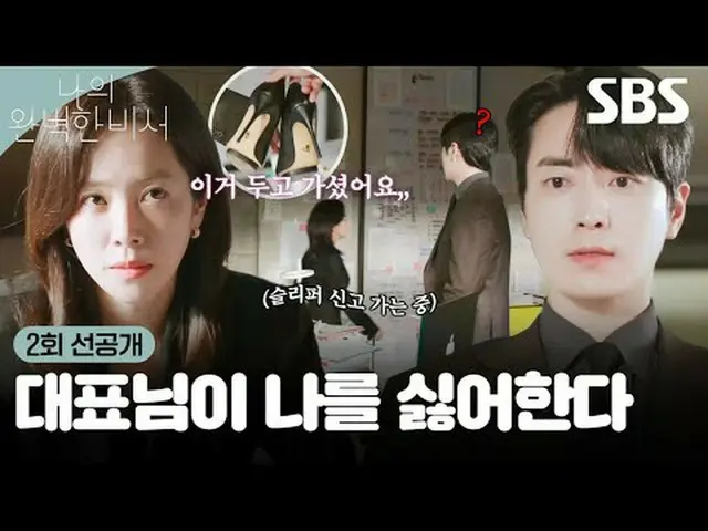 只擅长本职工作的猎头公司CEO智润和同样擅长本职工作的完美秘书恩浩之间的亲密恋情