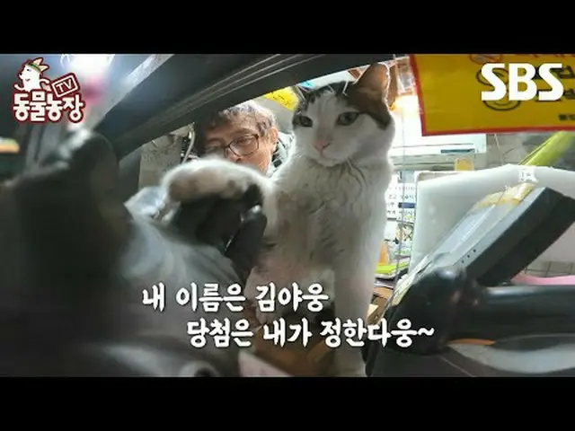 #申东烨 #Jeon SoNee（チョン・ソンヒ）_ #Tony An_ #Joy #TV 动物农场 #AnimalFarm #Preview SBS《电视动物